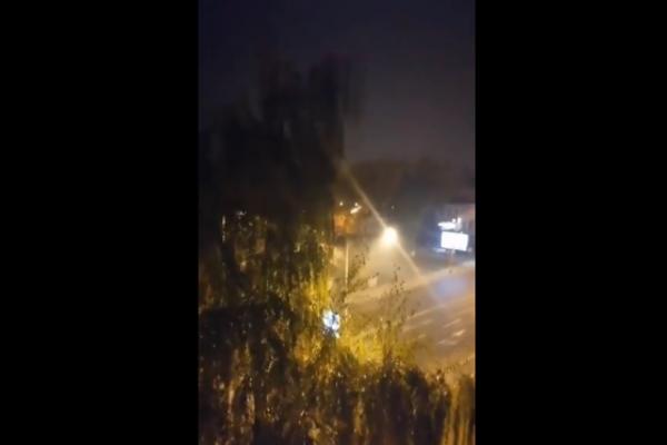 TUGA, NAJEŽIĆETE SE: Ovako su ŽIVOTINJE reagovale na ZEMLJOTRES U SKOPLJU! (VIDEO)