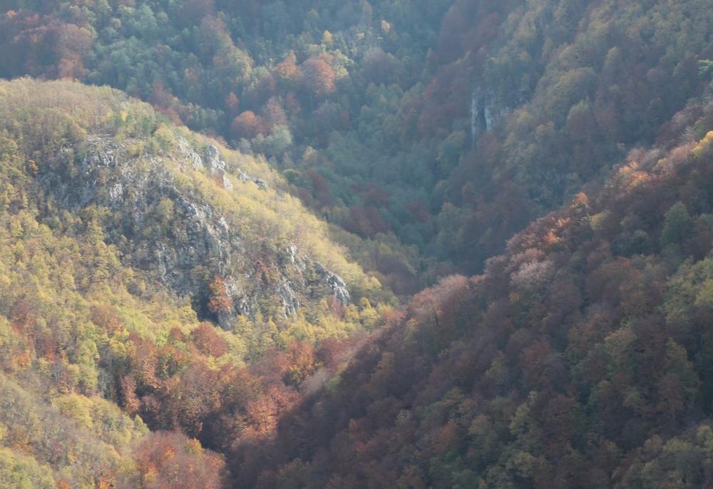 Lokaliteti Zvezda i Rača