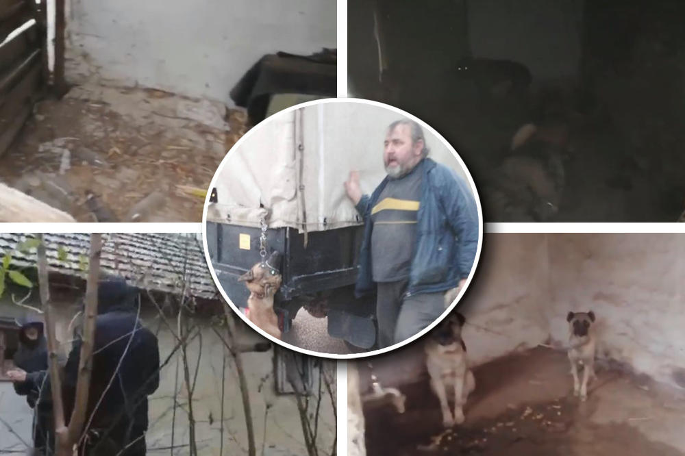 IZMUČENI, VEZANI, U UŽASNOM STANJU: Psi iz kamiona užasa spaseni, pored Subotice se godinama rade jezive stvari