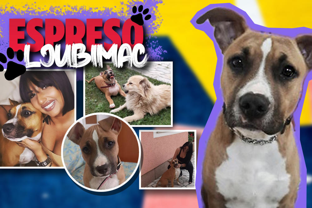 IMA 16 GODINA, SPOR JE I NE VIDI DOBRO, ALI MI UVEK POJEDE SVU HRANU: Ela i Laza su NEODOLJIVI LJUBIMCI naše Milice