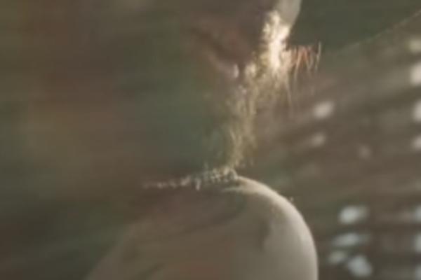 MNOGI GA ZOVU BOSANSKOM KONČITOM, KRALJ SEVDALINKI! Za sebe kaže da je i muško i žensko, OVAKO je nekada izgledao!