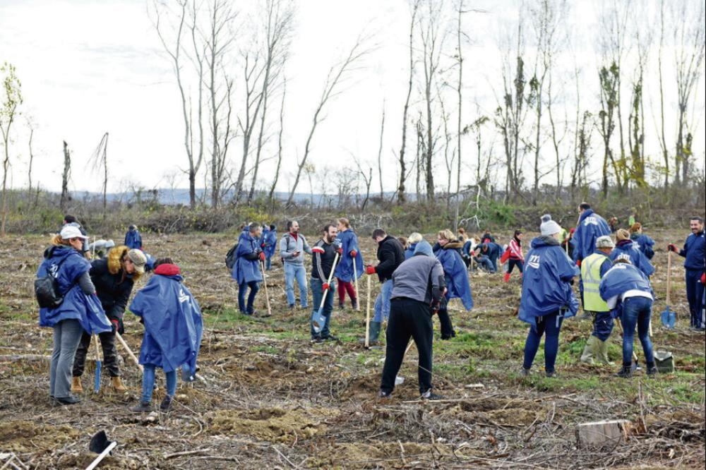 ZASADI DRVO! GODIŠNJICA: Trud se isplatio, niču nove šume!