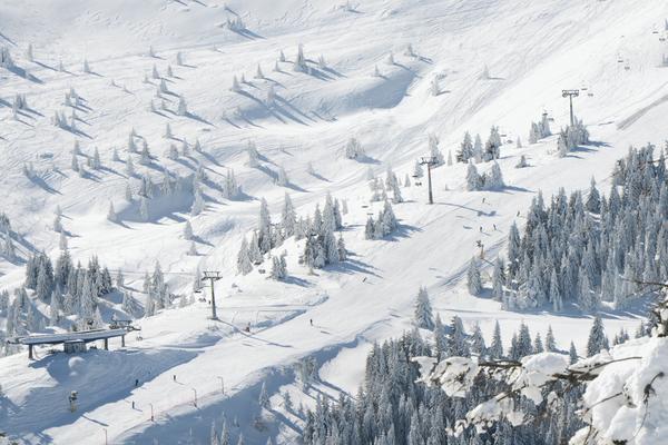 SPASIOCI KRENULI U POTRAGU ZA NESTALIM MUŠKARCEM NA KOPAONIKU: Nestao ispod Pančića na stazi, sneg otežava POTRAGU!