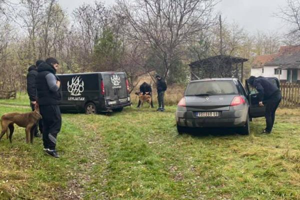 OD ČEDE ŠINTERA ODVEDEN 21 PAS! Umirali su od gladi, kad su ih izveli iz šupa, POČELI SU DA PASU TRAVU (FOTO)