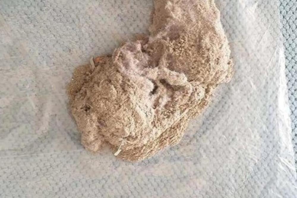 OVA FOTOGRAFIJA JE ZGROZILA MILIONE! Sad svi znaju zašto kuća mora da se usisava SVAKOG DANA! (FOTO)