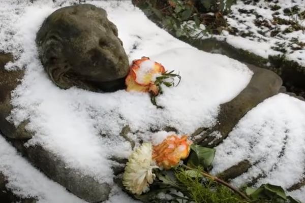 OVO I KORONA SU JEDINE 2 STVARI KOJE NIKO NA SVETU NE UME DA OBJASNI: Čitave 153 godine se MUČE da saznaju ISTINU!