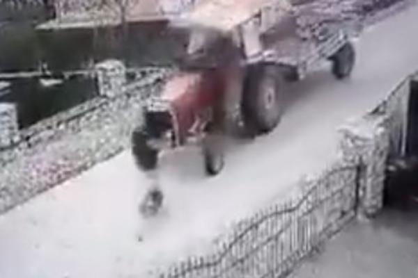 DŽUKELA U TRAKTORU NAMERNO ZGAZILA PSA!!! Širi se JEZIV snimak iz Gračanice! (UZNEMIRUJUĆI VIDEO)