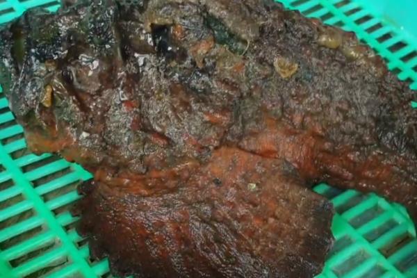 RIBARI SU IZVUKLI MREŽU I RAZBEŽALI SU SE KAD SU VIDELI ŠTA JE UNUTRA: Jedan je ipak prišao i sve SNIMIO! (VIDEO)