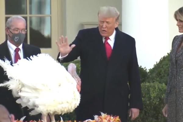 TRAMP POMILOVAO ĆURKU! Uputio joj je i ovih 7 REČI!