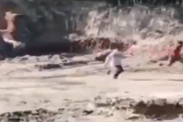 TIGAR NAPAO LJUDE: Velika zver skočila na čoveka i bacila ga u duboku rupu! (UZNEMIRUJUĆI VIDEO)