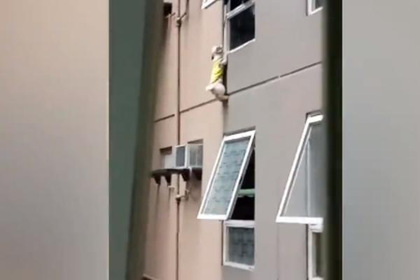MAJKO MOJA, KAKVA SCENA! Neka neko pomogne ovoj KUCI, visi sa prozora, može da se POLOMI! (VIDEO)