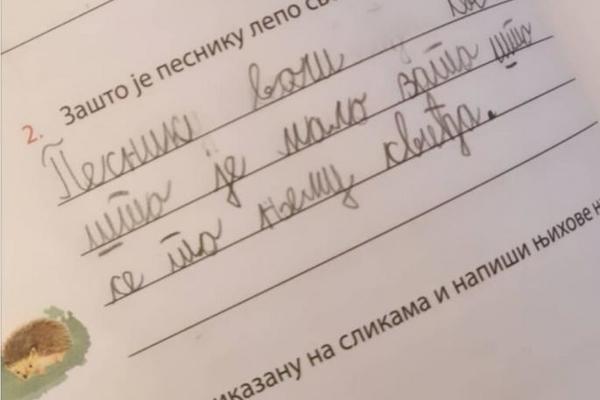 OVAK DEČAK JE CELOJ SRBIJI U TEŠKIM VREMENIMA VRATIO OSMEH NA LICE: Gledajte samo njegov domaći zadatak (FOTO)