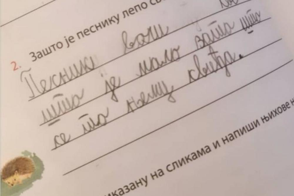 OVAK DEČAK JE CELOJ SRBIJI U TEŠKIM VREMENIMA VRATIO OSMEH NA LICE: Gledajte samo njegov domaći zadatak (FOTO)