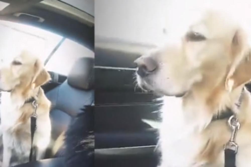 PRVI PUT JE IZLETEO NA SNEG I TOTALNO SE IZNENADIO: Ovo je NAJSMEŠNIJI snimak koji ćete danas POGLEDATI (VIDEO)