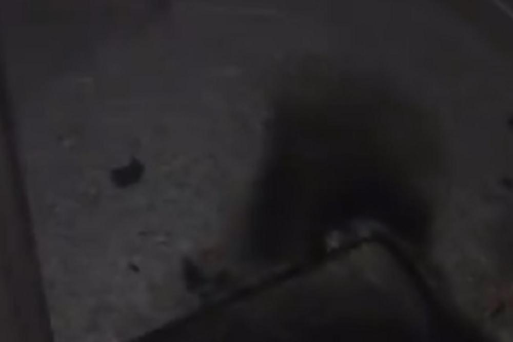 FUDBALERU MONSTRUMI ZAPALILI STAN! Deca su vrištala unutra, ali TO NIJE NAJGORE, KAKAV HOROR! (VIDEO)