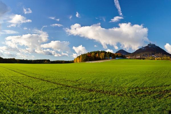 ZASADI DRVO! KLIMATSKE PROMENE: Ujedinjeni za spas planete!