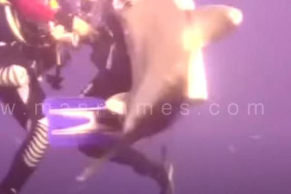 JEZIVI SUSRET AJKULE I ŽENE U OMILJENOM LETOVALIŠTU SRBA: Ajkula je pokazala zube, ali ni žena nije naivna! (VIDEO)