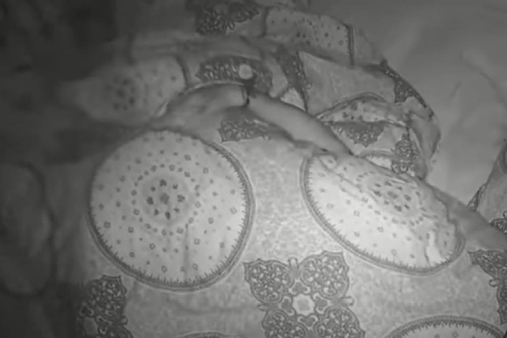 PERVEZIJE U PAROVIMA! SVUKAO JE, SKINUO PA NAVALIO: Vrela akcija ISPOD jorgan PLANINE! (VIDEO)