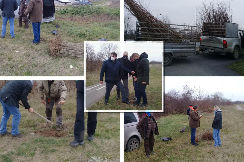 KORAK PO KORAK, ZA LEPŠI GRAD I MANJE ZAGAĐENJE: Sremska Mitrovica ima jednu sjajnu akciju, biće im divota tamo