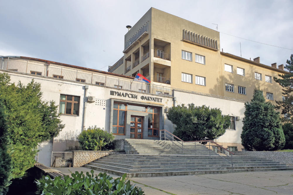 ZASADI DRVO! JUBILEJ: Čitav vek profesije budućnosti!