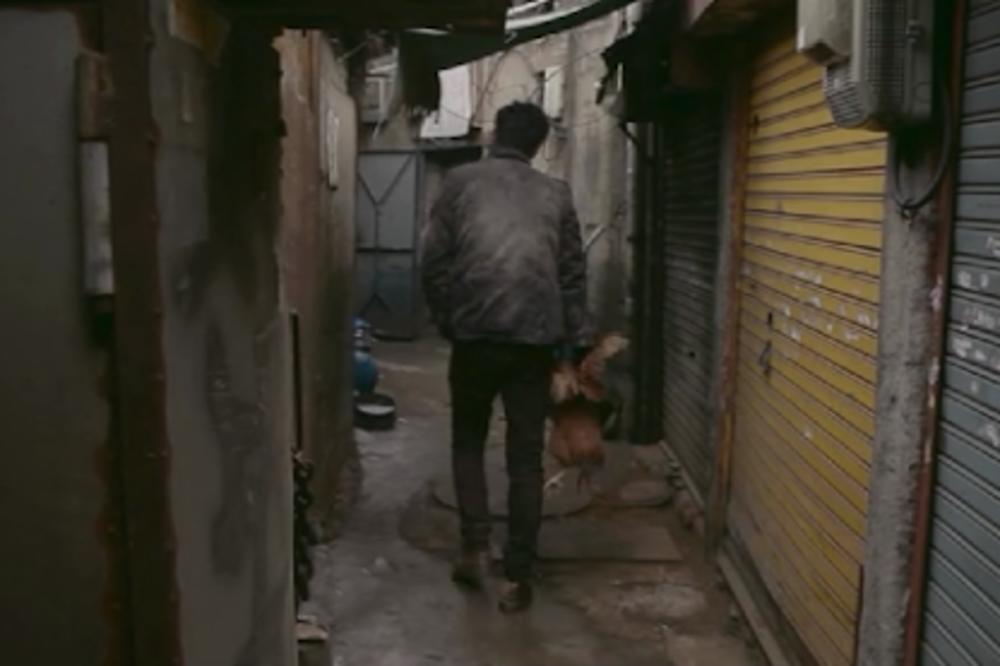 UŽAS! KORONA USMRTILA DOBITNIKA ZLATNE PALME U KANU: Čuveni REDITELJ umro u LITVANIJI gde je kupovao KUĆU