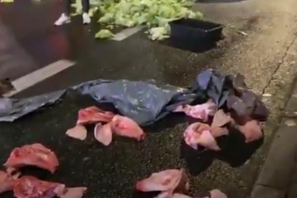 REVOLT PROTIV REŽIMA: Poljoprivrednici zameniku premijera ostavili MRTVU SVINJU ispred kuće! (VIDEO)