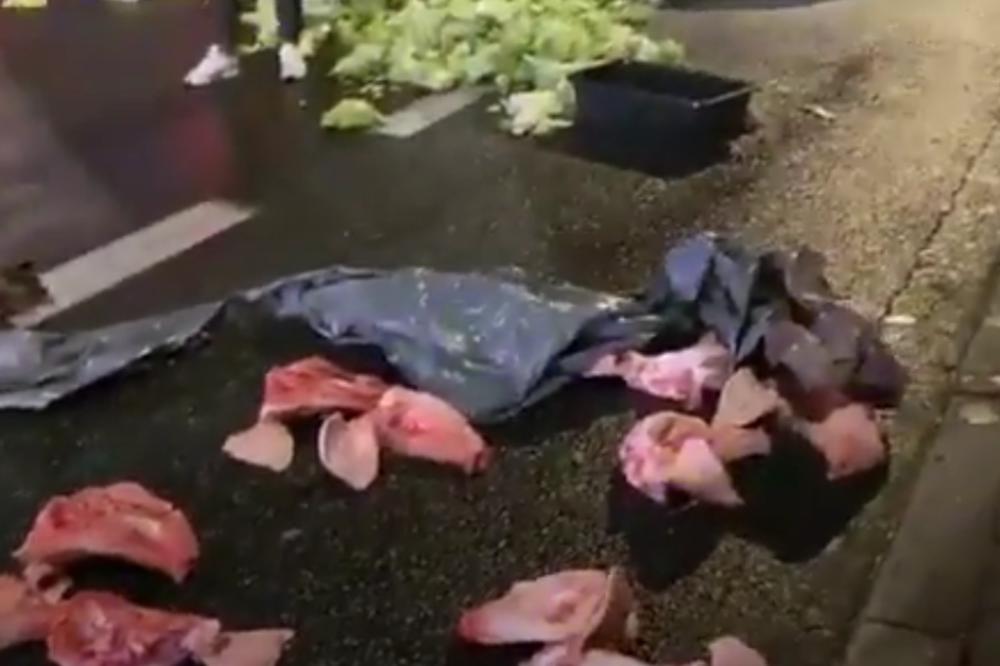 REVOLT PROTIV REŽIMA: Poljoprivrednici zameniku premijera ostavili MRTVU SVINJU ispred kuće! (VIDEO)