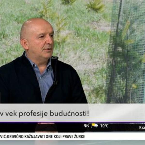 OVO JE PRAVO VREME ZA SADNJU! Svaki pojedinac bi trebalo da zasadi bar po JEDNO drvo!