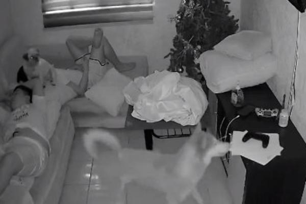 BRAĆA SU SPAVALA I OSTAVILA KAMERU UKLJUČENU: Kad su ujutru pogledali snimak, ostali su BEZ TEKSTA! (VIDEO)