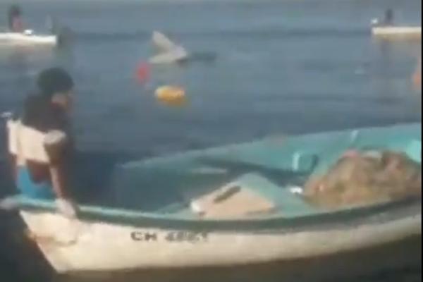 SRUŠIO SE HELIKOPTER KOD TIBAZA! Lokalni ribari videli kako pada u more, EVO ŠTA SU REKLI O NESREĆI!