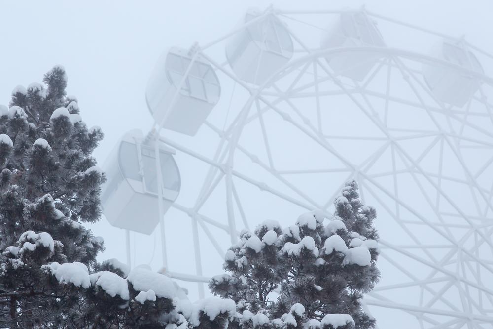 30 DŽINOVSKIH ZVERI SE PRIBLIŽILO RUSKOM SELU! Meštani su uznemireni, životinje mogu da se vide DVOGLEDOM!