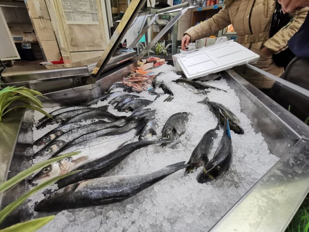 Riba za Svetog Nikolu