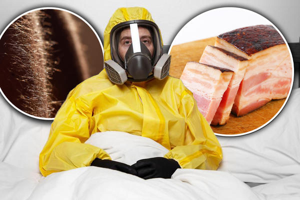 KORONA JE UŠLA U SVAKOGA OD NAS: Postoji samo jedan METOD da je ISTERAMO, a uključuje SLANINU i DLAKE