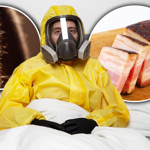 KORONA JE UŠLA U SVAKOGA OD NAS: Postoji samo jedan METOD da je ISTERAMO, a uključuje SLANINU i DLAKE