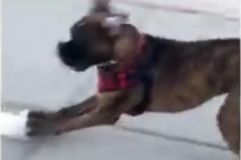 NA OLIMPIJSKE IGRE DA GA POŠALJU: Hit, samo pogledajte ovu kucu klizača!