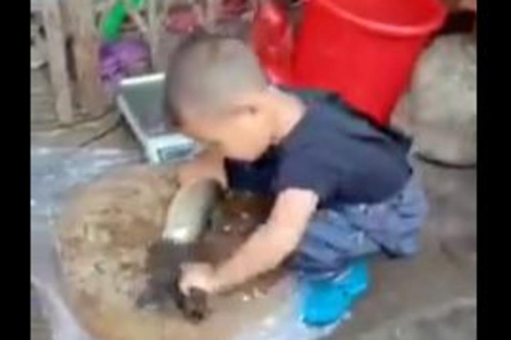 SNIMAK MALOG KINEZA (4) OBILAZI PLANETU: Pa mali, KAKO TO UMEŠ DA RADIŠ? (VIDEO)