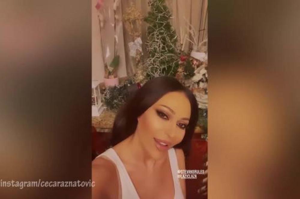 CECA UKRASILA VILU ZA PRAZNIKA, A ONDA SNIMILA SEBE! Svi ostali ZABEZEKNUTI kada su videli kako izgleda, AUUU!