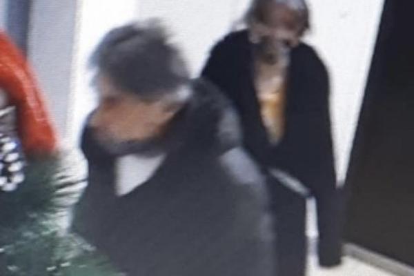 PREVARANTI KAKVI SE NE PAMTE! Jedan liči na Ljubu Aličića, ulaze u stanove penzionera, a onda kreće muljaža! (FOTO)