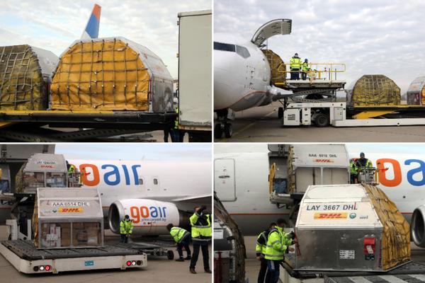 FAJZEROVA VAKCINA STIGLA U SRBIJU: Snimalo se sve uživo, OVO JE VELIKI DAN za nas (VIDEO)