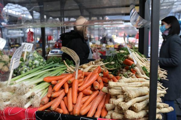 OVU VRSTU SALATE SRBI SADA POGOTOVO JEDU, A NIKO NE ZNA KOLIKO JE ZDRAVA: Nema ništa bolje za PROBAVU, SPAS JE!