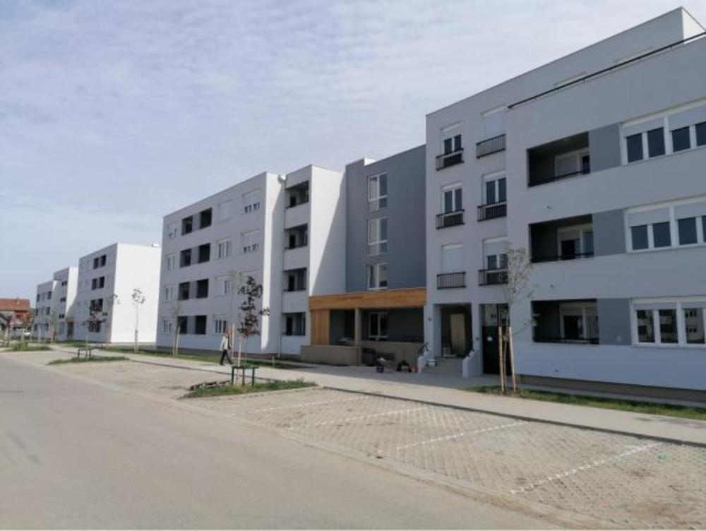 Izbegla lica Novi Sad