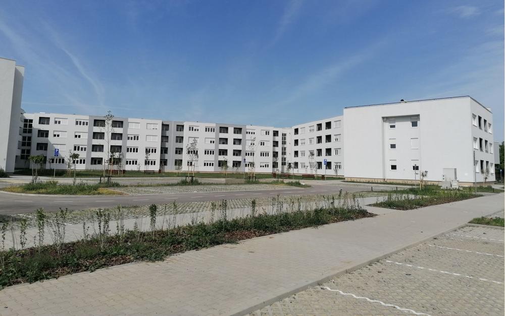 Izbegla lica Novi Sad