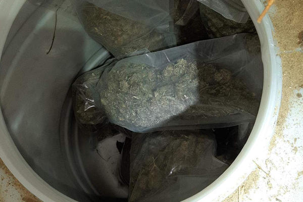 POLICIJA ZAPLENILA VIŠE OD 15KG MARIHUANE I UHAPSILA OSUMNJIČENOG: U vinogradima našli 2 zakopana PUNA BURETA!