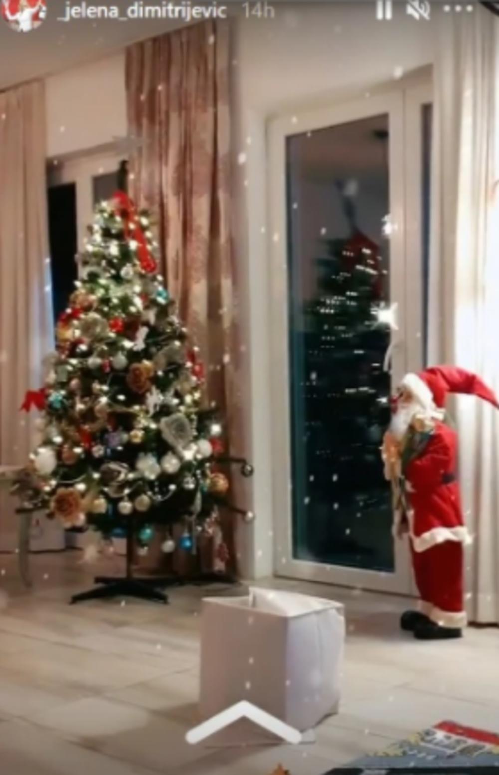 jelena Dimitrijević