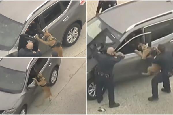 OVO JE NAJDRAMATIČNIJA AKCIJA HAPŠENJA KOJU ĆETE VIDETI DANAS! Glavni akter je POKIDAO! (VIDEO)