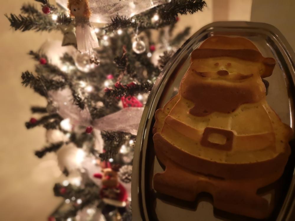 Novogodišnji Slaniši