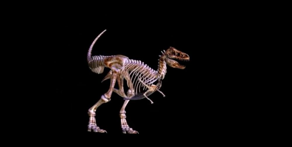 Tiranosaurus, Dinosaurus