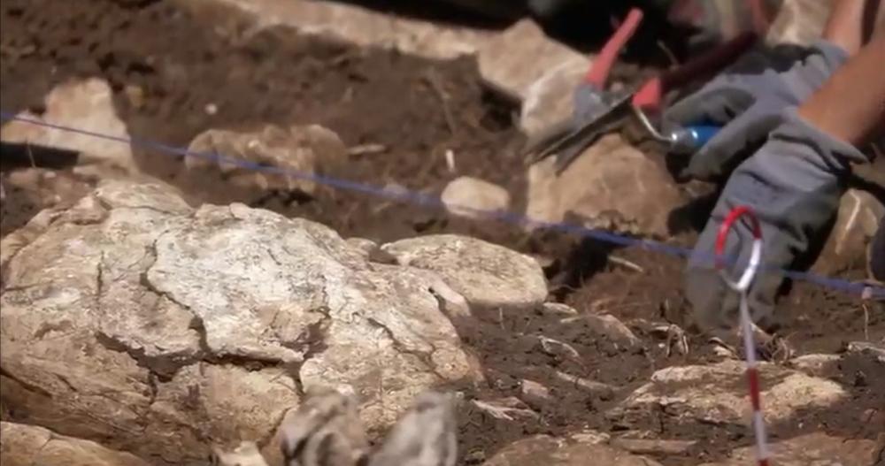 Iskopavanje, Naučnik, Arheolog