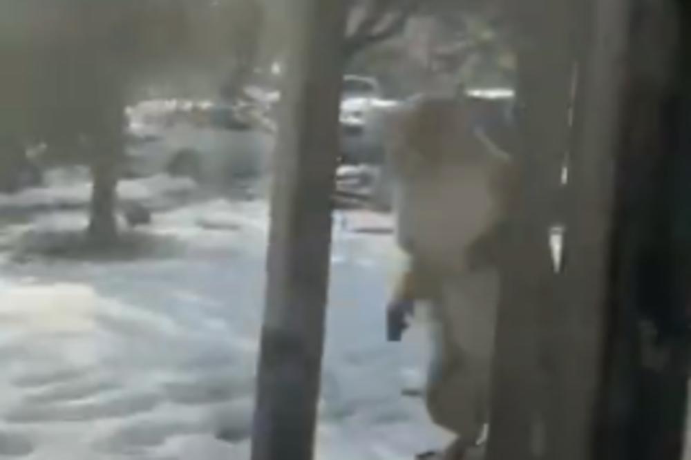 POBESNELE ŽIVOTINJE NAPADAJU AMERIKANCE: Ljudi ne mogu da izađu iz kuća, PLAŠE SE ZA SEBE (VIDEO)