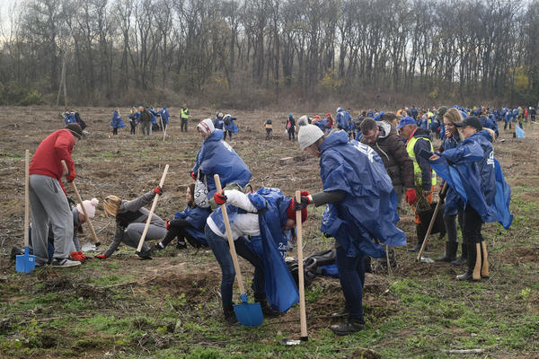 ZASADI DRVO: Nova godina! Zajedno s vama menjamo svet i svest!